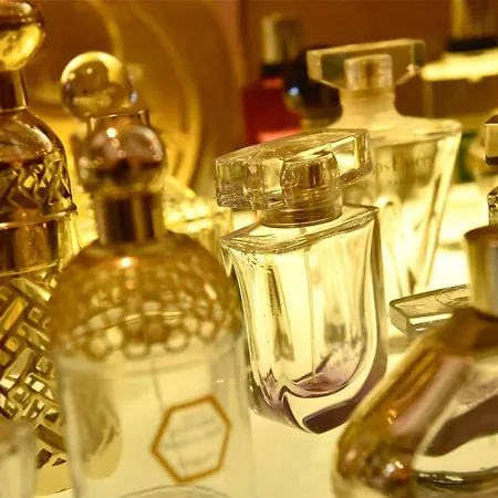 Idéalement Situé Le Les Locations Isahora Sont Aussi à 2 Pas Du Château D'eu, Des Falaises Du Tréport, De Mers Les Bains Et Aux Portes De La Baie De Somme Eu (Sena Marítimo)