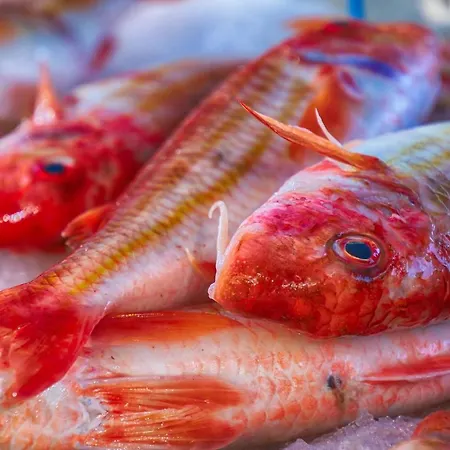 Idéalement Situé Le Les Locations Isahora Sont Aussi à 2 Pas Du Château D'eu, Des Falaises Du Tréport, De Mers Les Bains Et Aux Portes De La Baie De Somme